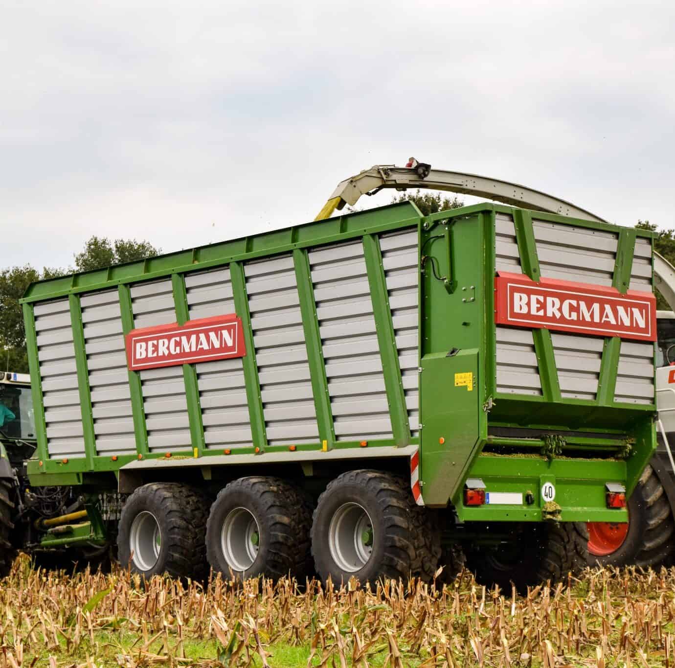 BERGMANN HTW 50