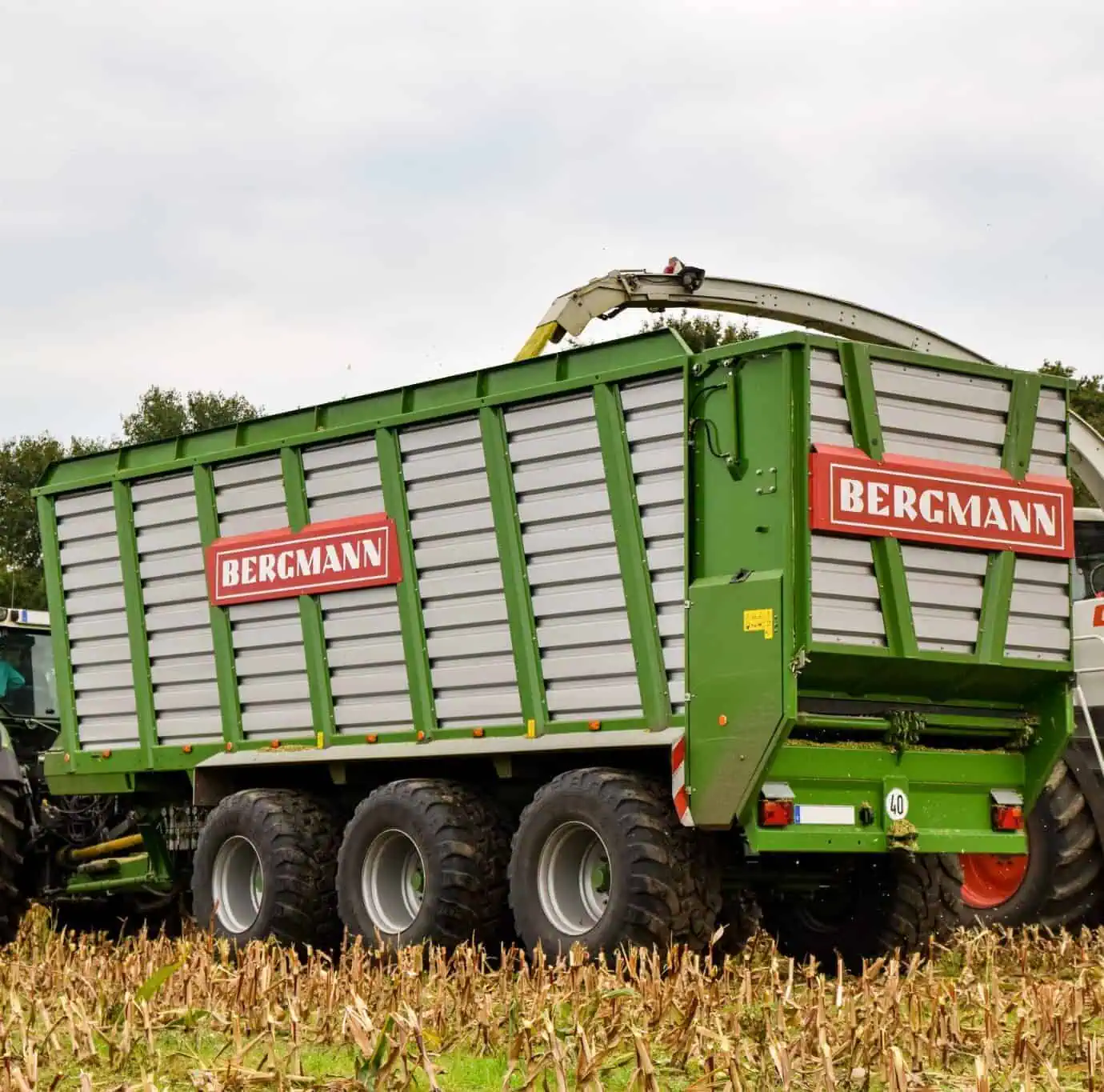 BERGMANN HTW 50