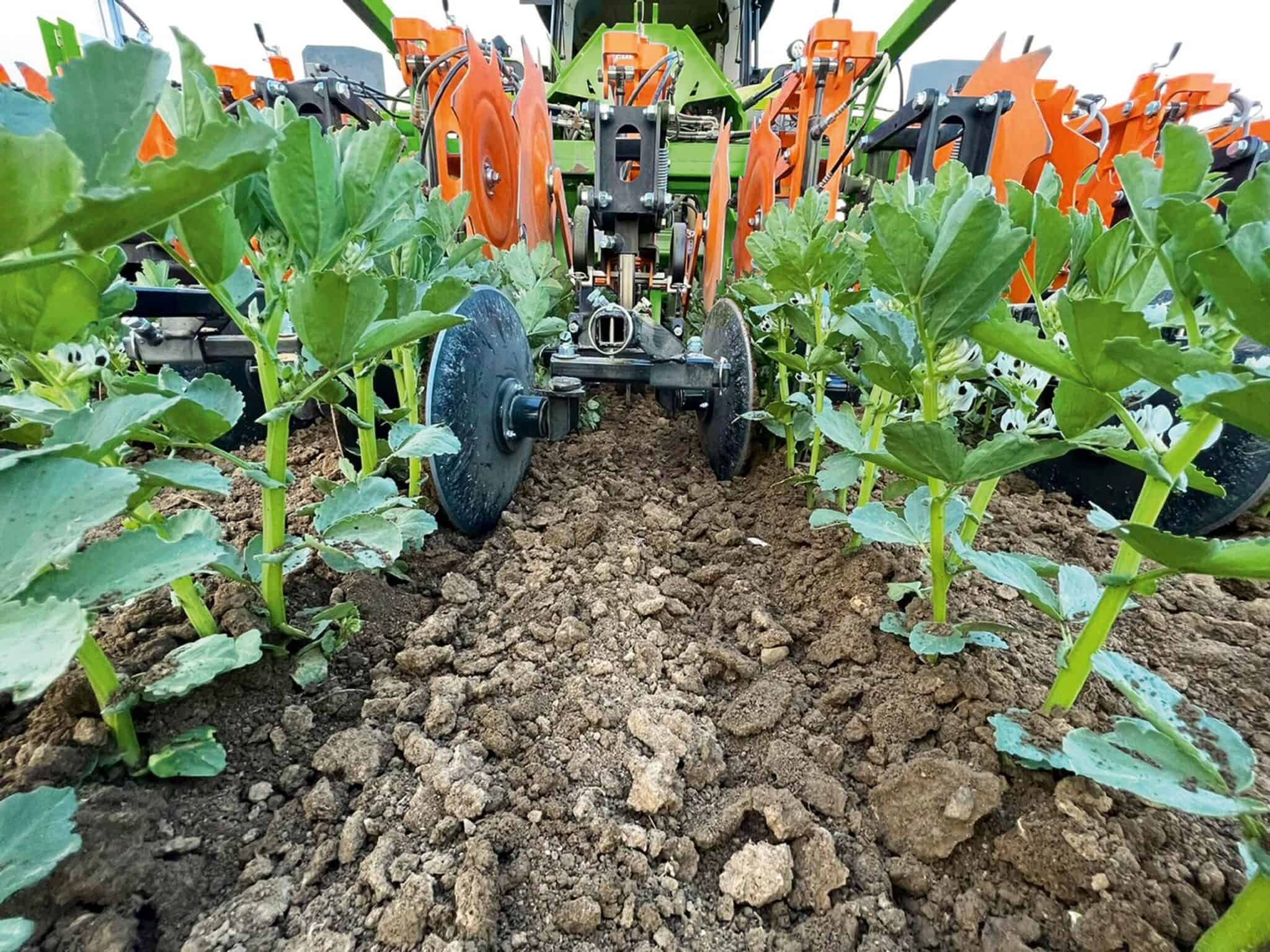 AMAZONE kultivatoriai