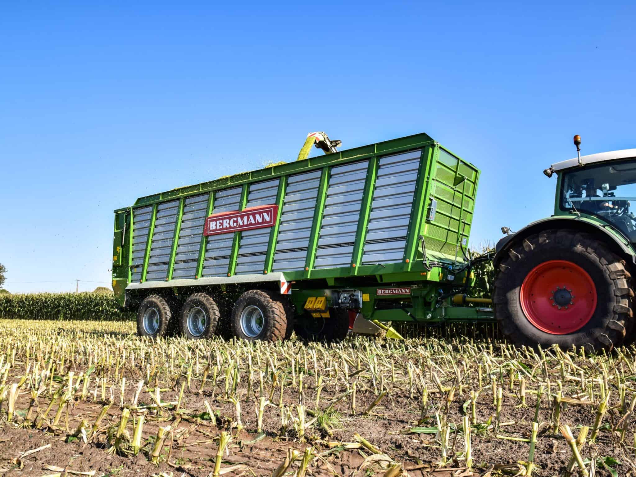 BERGMANN HTW 65